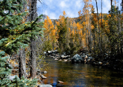 Animas in the Fall