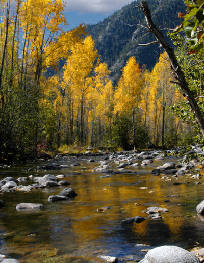 Aspen Stream