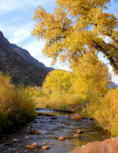 Jemez River Two