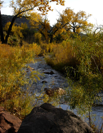 Jemez River