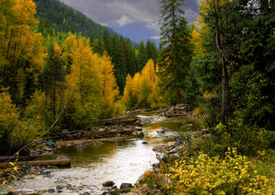 Mountain River Cascade