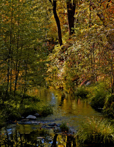 Sedona Creek