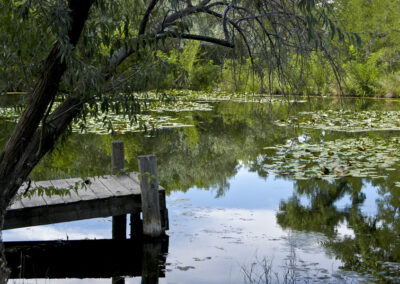 Shady Lakes