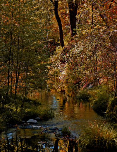 Sonoma Creek