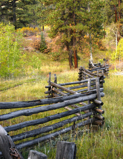 Wooden Fence in the Forest