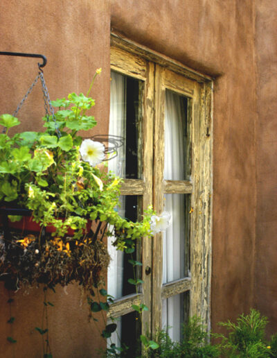 Window and Flower